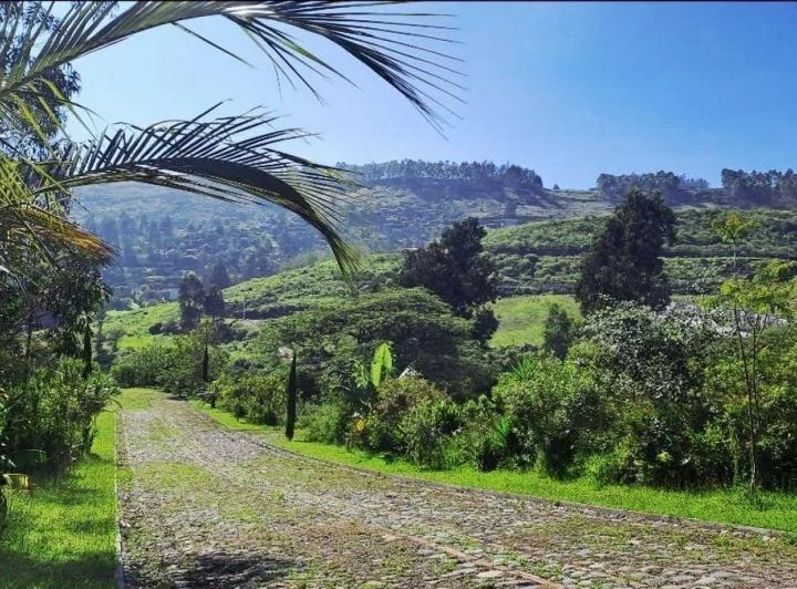 Se Vende Terreno 1250 Mt Tumbaco — imagen 1