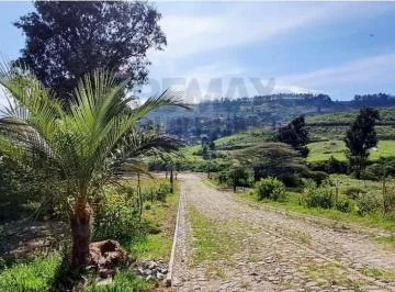 Se Vende Terreno 1250 Mt Tumbaco — imagen 2