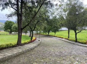 Terreno de Venta Dentro de La Urbanización Pachosalas, Cumbayá. Exclusividad, Vista, Tranquilidad — imagen 5