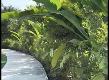 Terreno de 544 m² en Venta en Isla Mocolí, Guayas — imagen 5