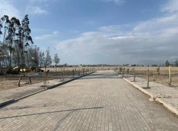 Venta de Terreno Llano Chico 2.000 m² Urb. El Arupo II, Av Simón Bolívar — imagen 5