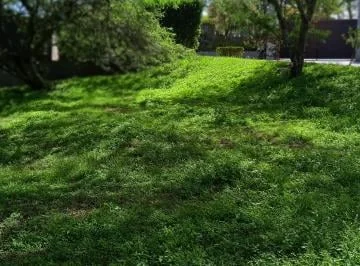 Lindos Terrenos en Urbanización Exclusiva — imagen 5