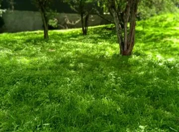 Lindos Terrenos en Urbanización Exclusiva — imagen 4