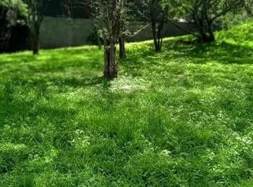 Lindos Terrenos en Urbanización Exclusiva — imagen 3
