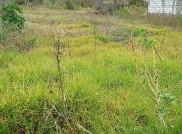 Se Vende Terreno Plano Sector Garcia Moreno San Pedro de Pelileo, Tungurahua — imagen 3