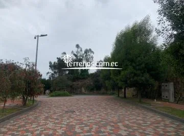 Terreno en Venta de 1.000 m² Cumbayá Urb. Exclusiva — imagen 4