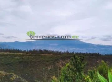 Terreno de Venta en La Alegría, Sector San Francisco de Pifo 2.521 m² — imagen 4