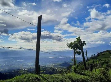Vendo Terreno m (40 Hectáreas) en Lo Alto de Yaruqui — imagen 5
