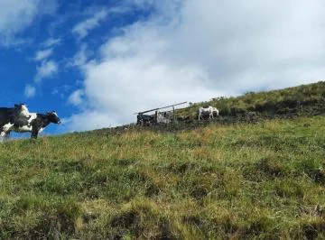 Vendo Terreno m (40 Hectáreas) en Lo Alto de Yaruqui — imagen 3