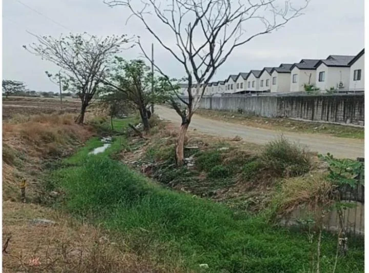 Vendo Una Oportunidad de Desarrollo en un Terreno Urbano Comercial, Al Pie de La Autopista a Salitre, Guayas — imagen 1