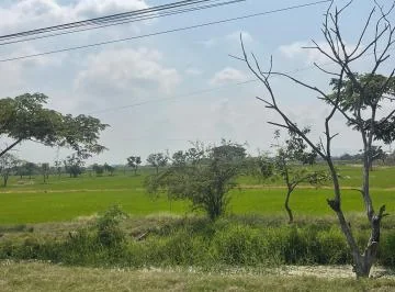 Vendo Una Oportunidad de Desarrollo en un Terreno Urbano Comercial, Al Pie de La Autopista a Salitre, Guayas — imagen 4