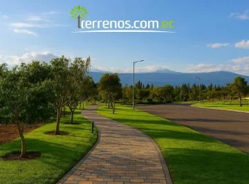 Terrenos de Venta Desde 1.263 Hasta 2.217 en Urb. María Isabel, Puembo. Provincia de Pichincha — imagen 2