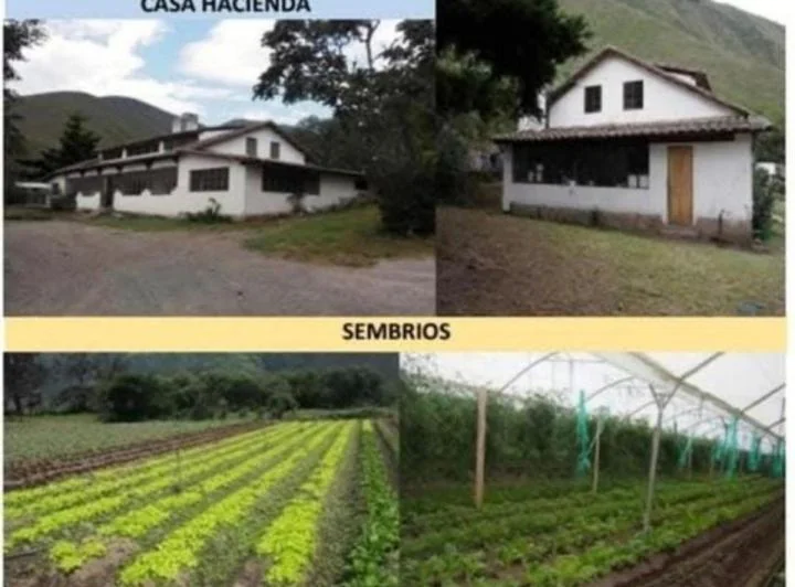 Se Vende Finca Productiva de 2,400 Has — imagen 1
