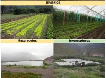 Se Vende Finca Productiva de 2,400 Has — imagen 5