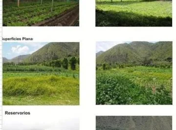 Se Vende Finca Productiva de 2,400 Has — imagen 4