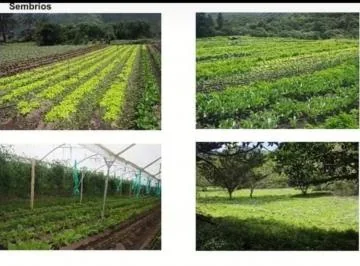Se Vende Finca Productiva de 2,400 Has — imagen 3