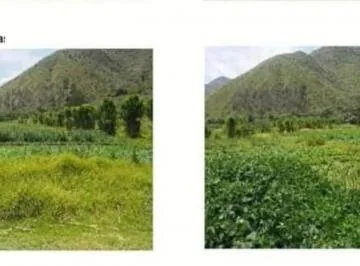 Se Vende Finca Productiva de 2,400 Has — imagen 2