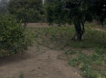 Terreno de 5000 m² en Venta en Tumbaco — imagen 3