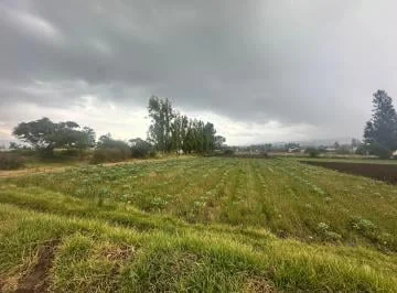 Vendo Terreno Oyambarillo - Tababela — imagen 4