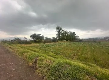 Vendo Terreno Oyambarillo - Tababela — imagen 3