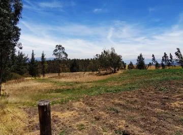 Terrenoterreno en Venta Sector Inga, 91,78 Has, Hacienda, Ruta E35 — imagen 5