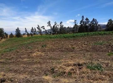 Terrenoterreno en Venta Sector Inga, 91,78 Has, Hacienda, Ruta E35 — imagen 4
