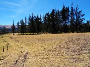 Terrenoterreno en Venta Sector Inga, 91,78 Has, Hacienda, Ruta E35 — imagen 3