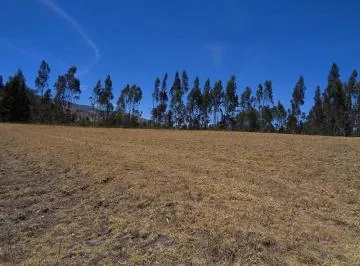 Terrenoterreno en Venta Sector Inga, 91,78 Has, Hacienda, Ruta E35 — imagen 2
