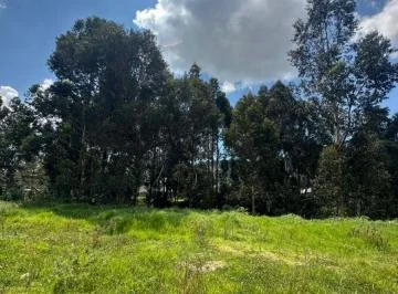 Vendo Terreno 22.946 m² San Bartolo — imagen 2