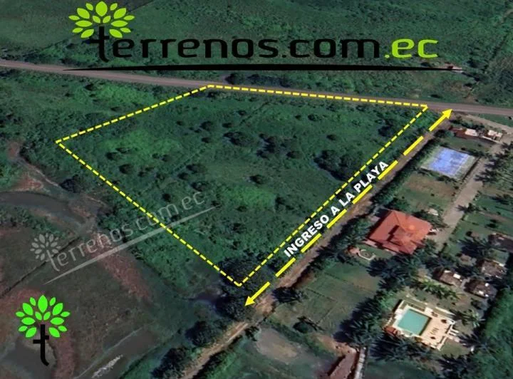 Terreno en Terreno de Venta en Cojimíes 8.440 m², Vía Pedernales - Cojimíes, Manabí — imagen 1