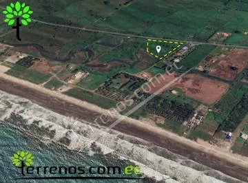 Terreno en Terreno de Venta en Cojimíes 8.440 m², Vía Pedernales - Cojimíes, Manabí — imagen 3
