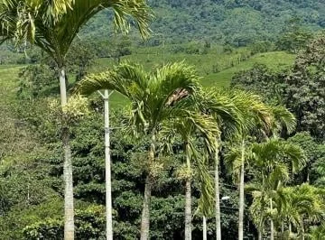 Terrenos de Venta en Urb Privada en Puerto Quito — imagen 2