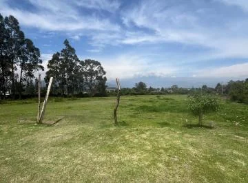 Pifo Se Vende Terreno Ideal Constructores con Hermosa Vista (Cr) — imagen 5