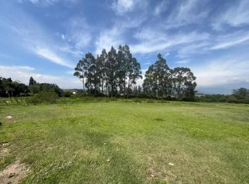 Pifo Se Vende Terreno Ideal Constructores con Hermosa Vista (Cr) — imagen 3