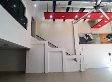 Vernaza, Local Comercial en Renta, 345.56 m², Guayas — imagen 4