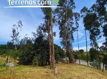 Terreno de Venta en Tumbaco 1310.36 m², Urb. El Rosario, La Morita. Provincia de Pichincha — imagen 4