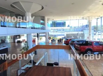 Vendo Concesionario Av Galo Plaza, Norte de Quito — imagen 4