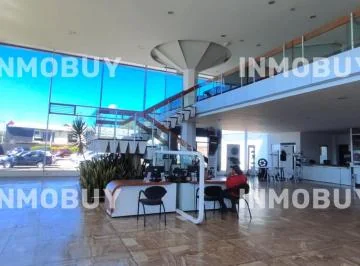 Vendo Concesionario Av Galo Plaza, Norte de Quito — imagen 3