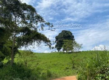 Hermosa Finca con Casita de Campo y Cultivos - Pedro Vicente Maldonado — imagen 4
