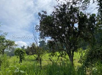Hermosa Finca con Casita de Campo y Cultivos - Pedro Vicente Maldonado — imagen 2