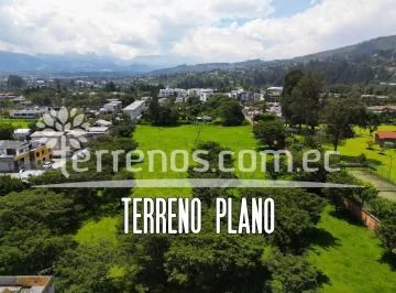 Terreno en Venta 14.350 m² a 1 Min Ruta Viva - Tumbaco — imagen 3