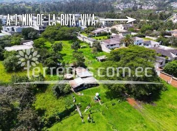 Terreno en Venta 14.350 m² a 1 Min Ruta Viva - Tumbaco — imagen 2