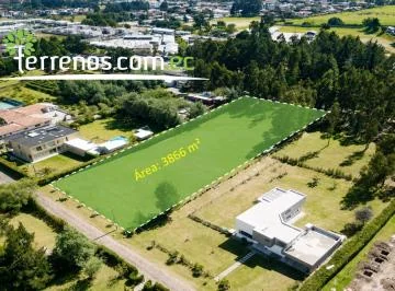 Terreno en Venta de 3.866 m², Tumbaco - La Morita — imagen 5