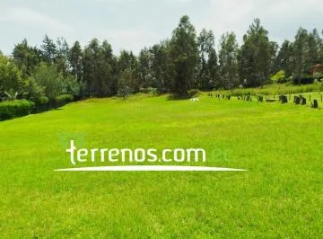 Terreno en Venta de 3.866 m², Tumbaco - La Morita — imagen 4