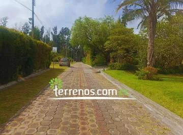 Terreno en Venta de 3.866 m², Tumbaco - La Morita — imagen 3