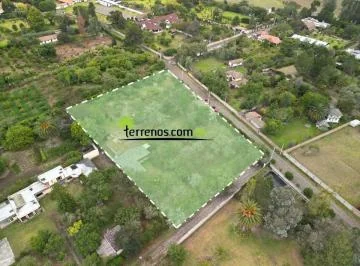 Terreno de Venta, Puembo La Palma Polo Club, 6031 m² — imagen 5