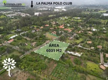 Terreno de Venta, Puembo La Palma Polo Club, 6031 m² — imagen 4