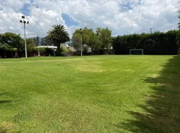 Vendo Terreno Plano 8.070 m², Piscina, Cancha Futbol, Casa — imagen 3