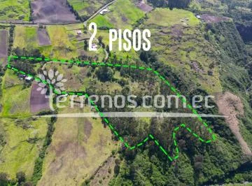 Terreno en Venta 3.9 Has El Inga. Cerca a La E35 — imagen 5