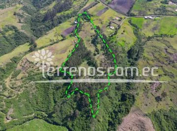 Terreno en Venta 3.9 Has El Inga. Cerca a La E35 — imagen 3